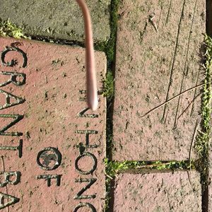 Meet your Posher, Janice